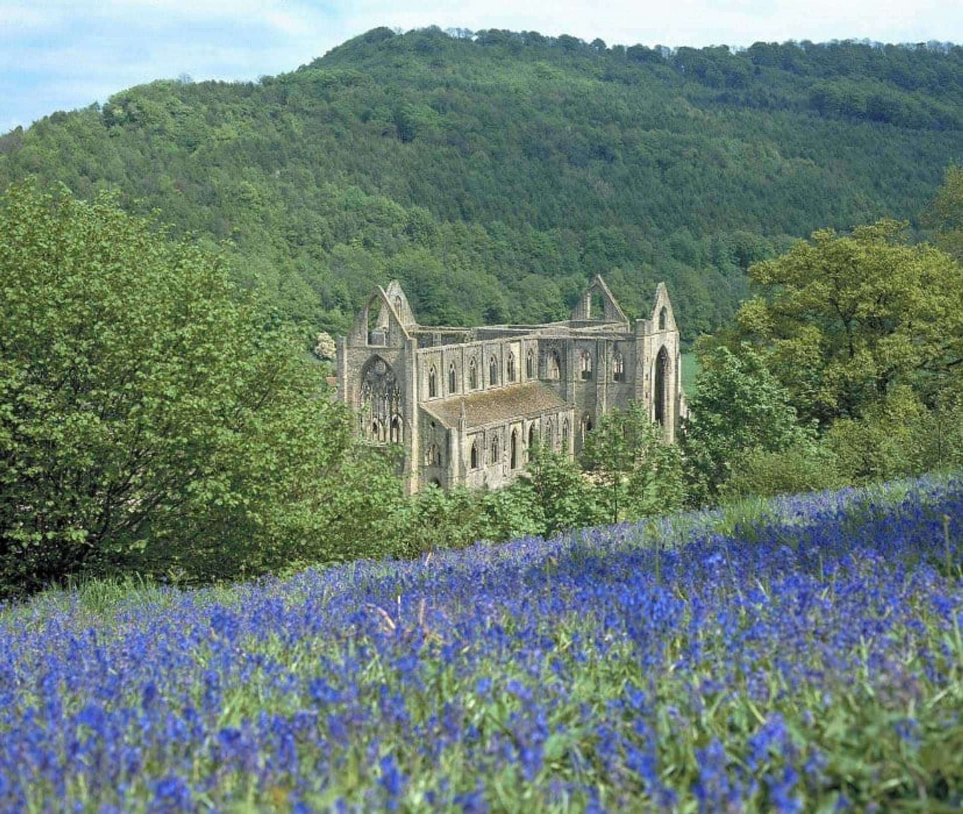 Tintern-Abbey-Wye-Valley-Walk