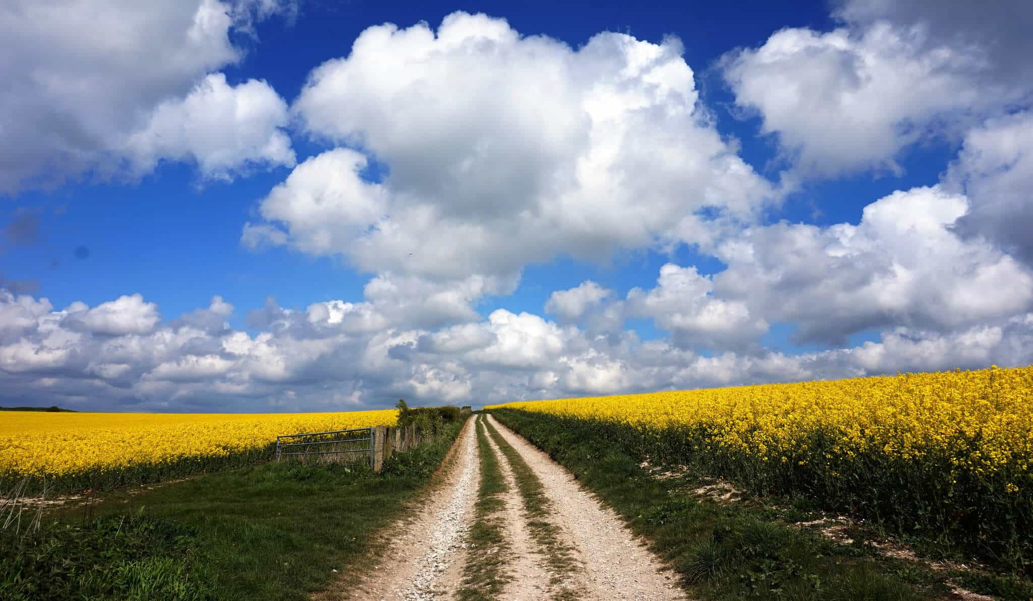 Walking The South Downs Way