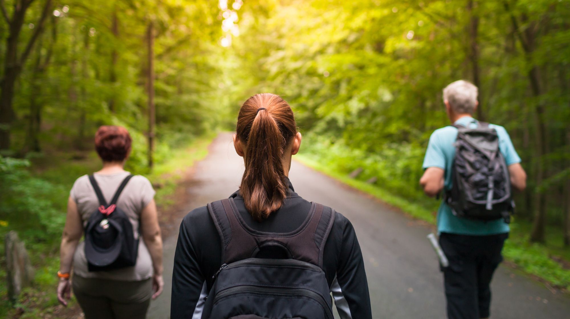 Three people with backpacks walk down a paved path through a lush green forest with sunlight filtering through the trees.