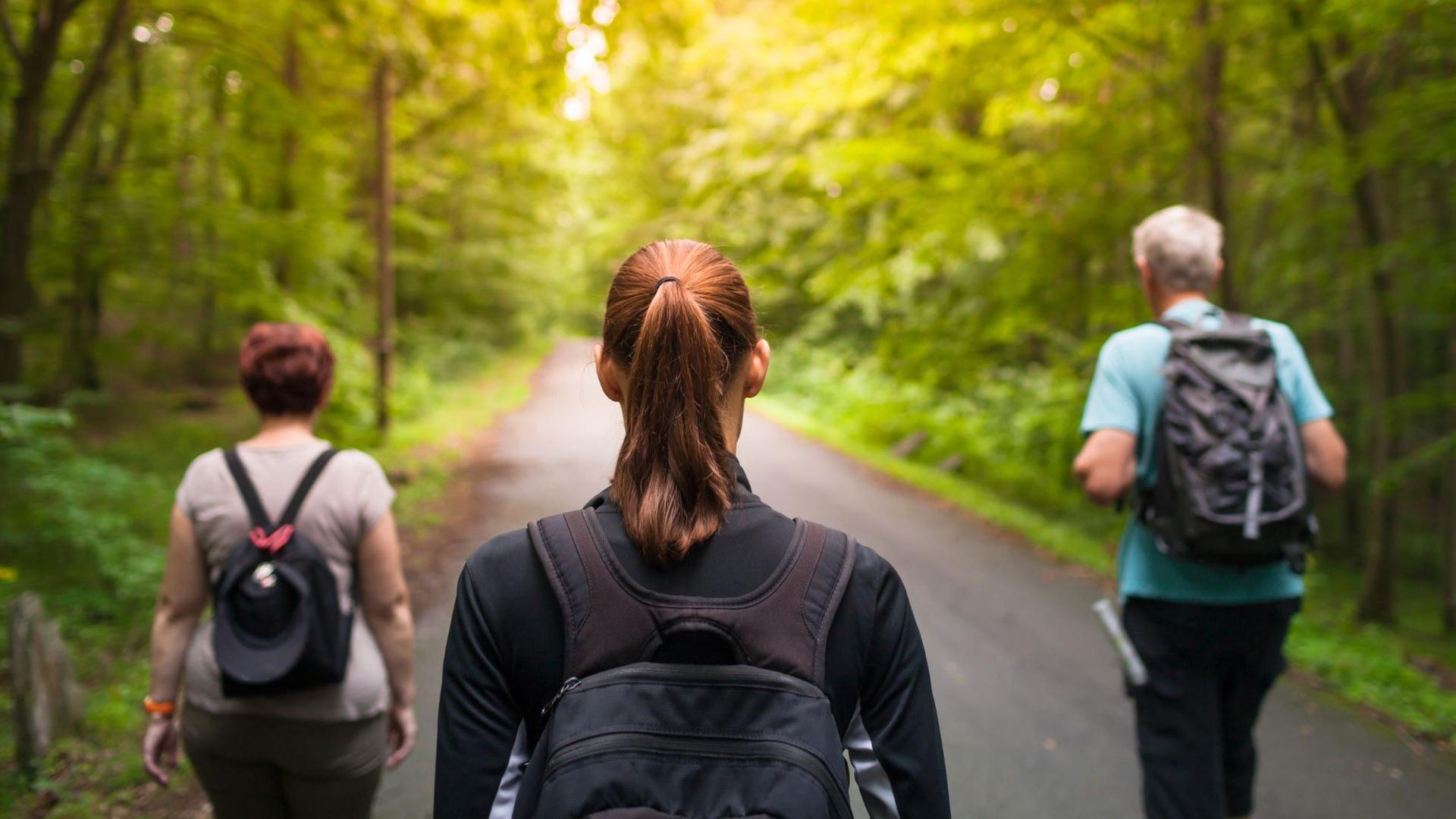 Three people with backpacks walk down a paved path through a lush green forest with sunlight filtering through the trees.