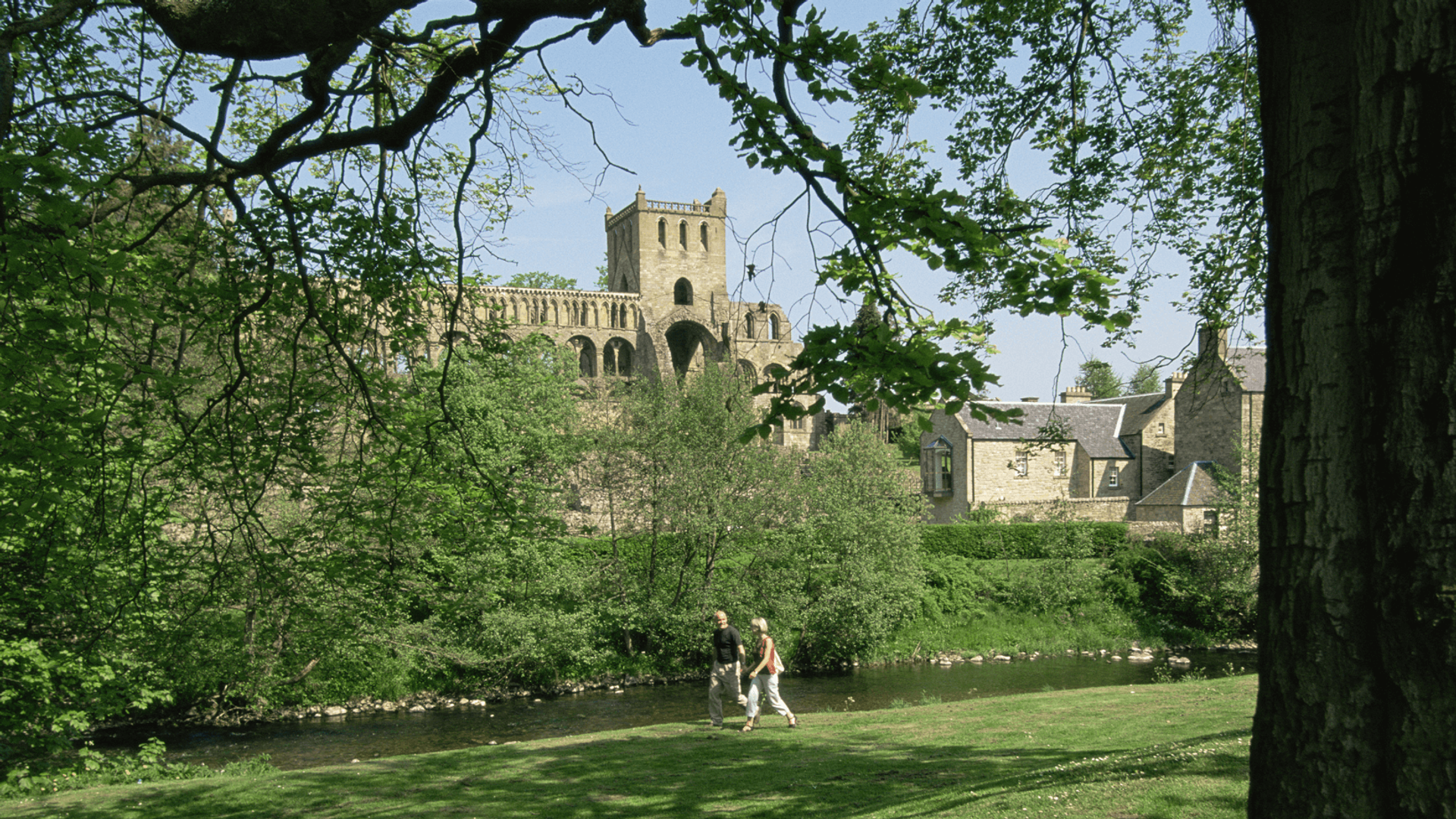 Literature inspired walks along Jedburgh Abbey, Border Abbey Way