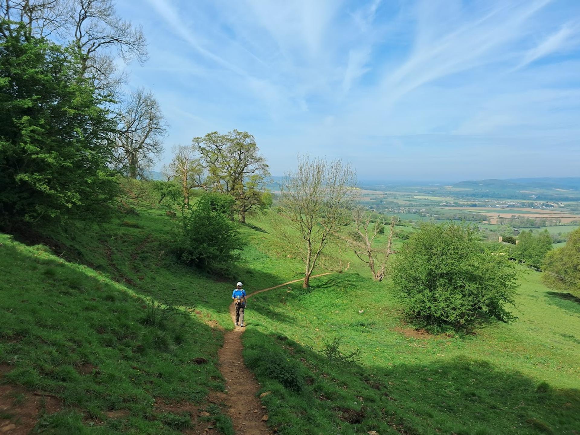 Walking trail winding through rolling green hills and dry-stone walls in the Cotswolds.