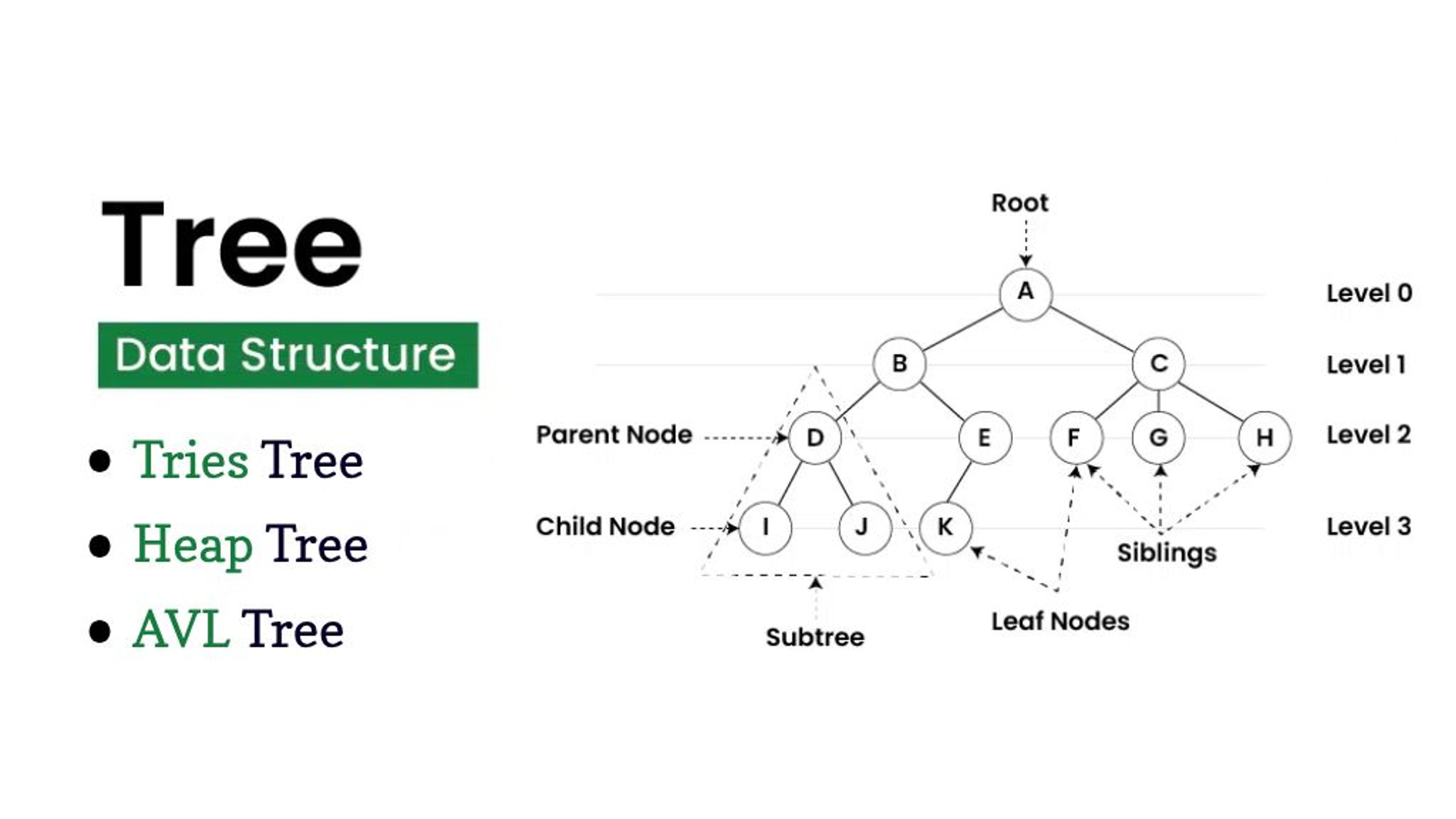 Advanced Data Structures Tries, Heaps, and AVL Trees Guide Banner Image