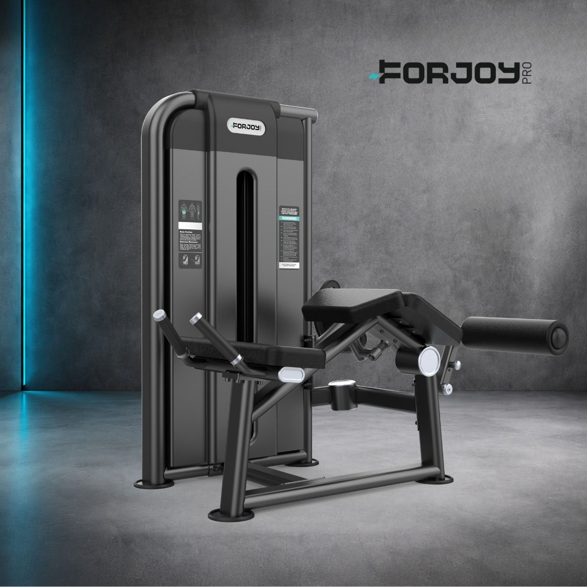 Mesa Flexora