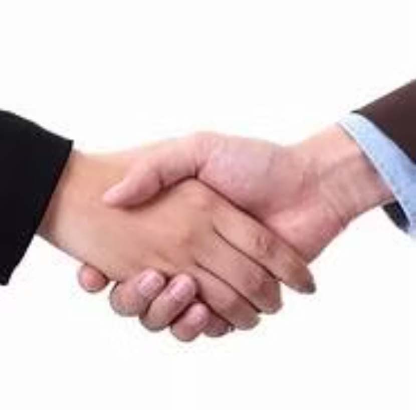 Two people shaking hands