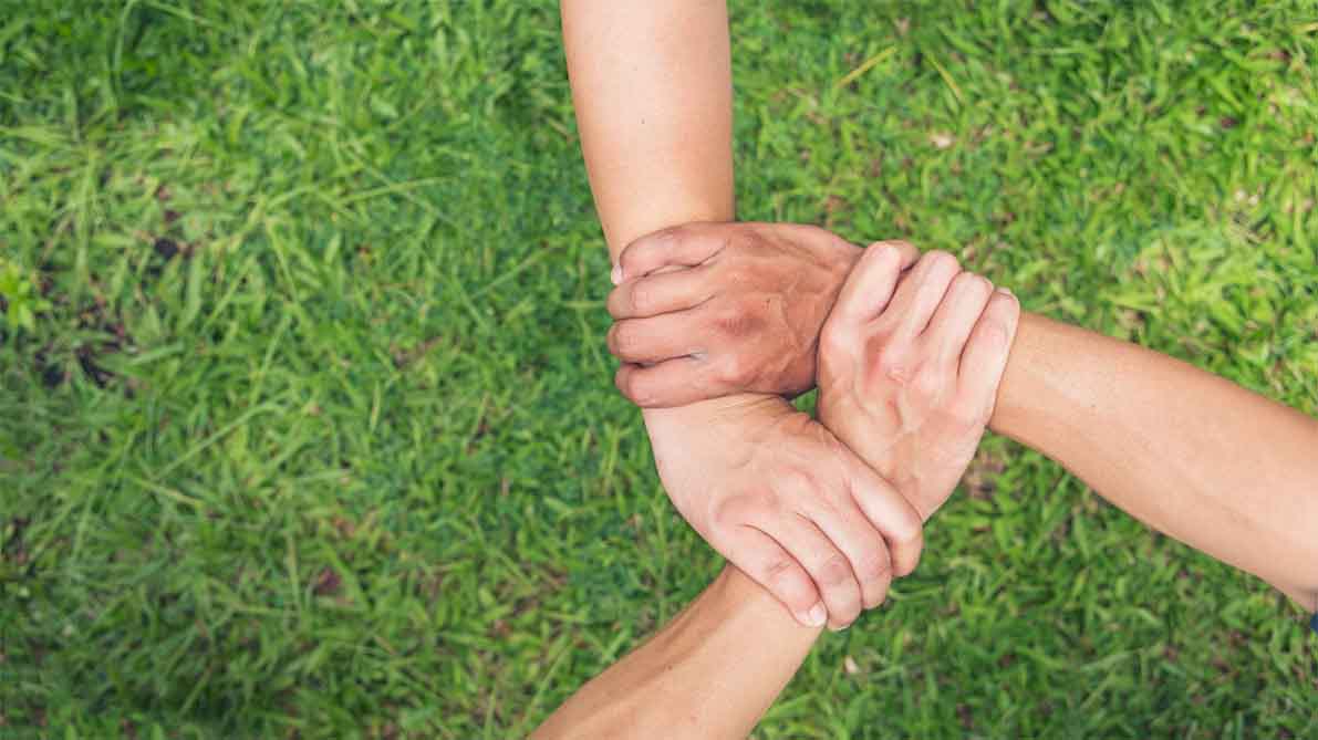 Four hands gripping each other's wrists in a square, on grass