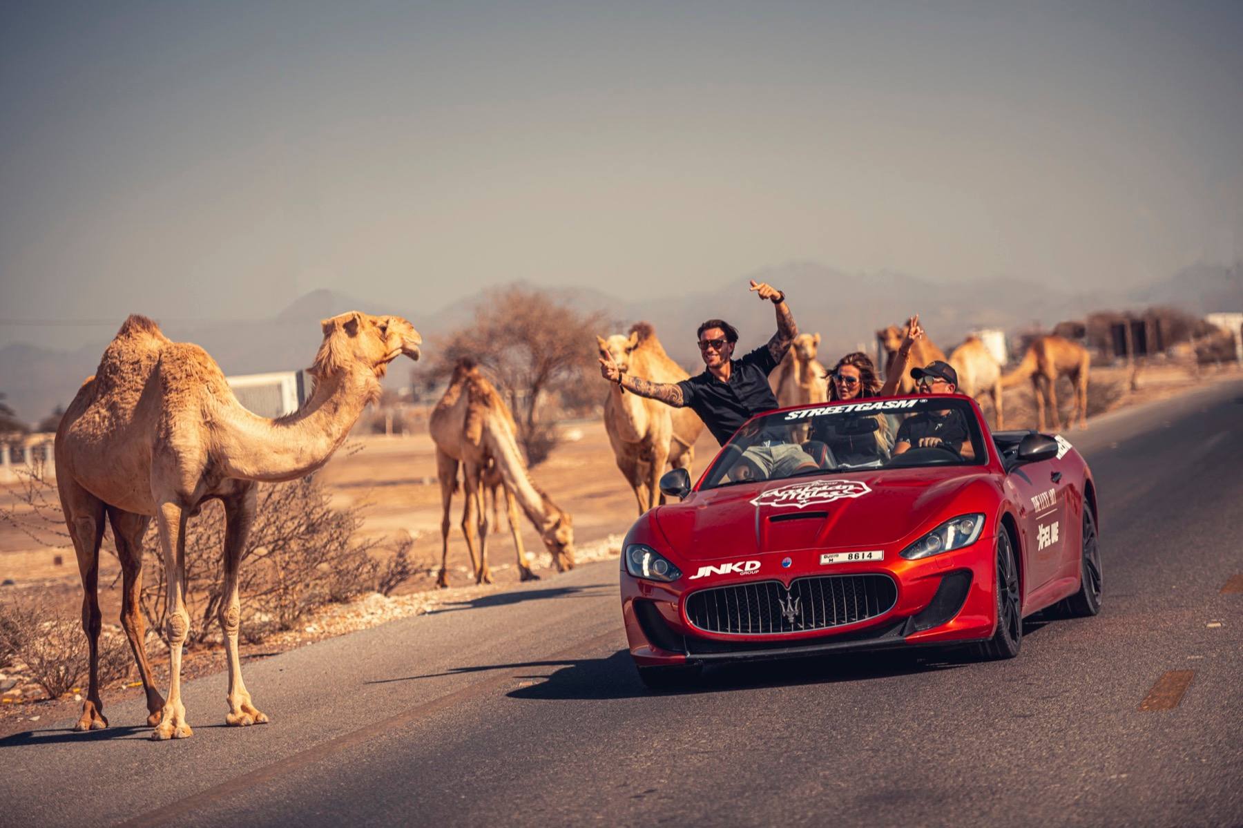 StreetGasm members drive in a convertible amongst camels during Arabian Miles.