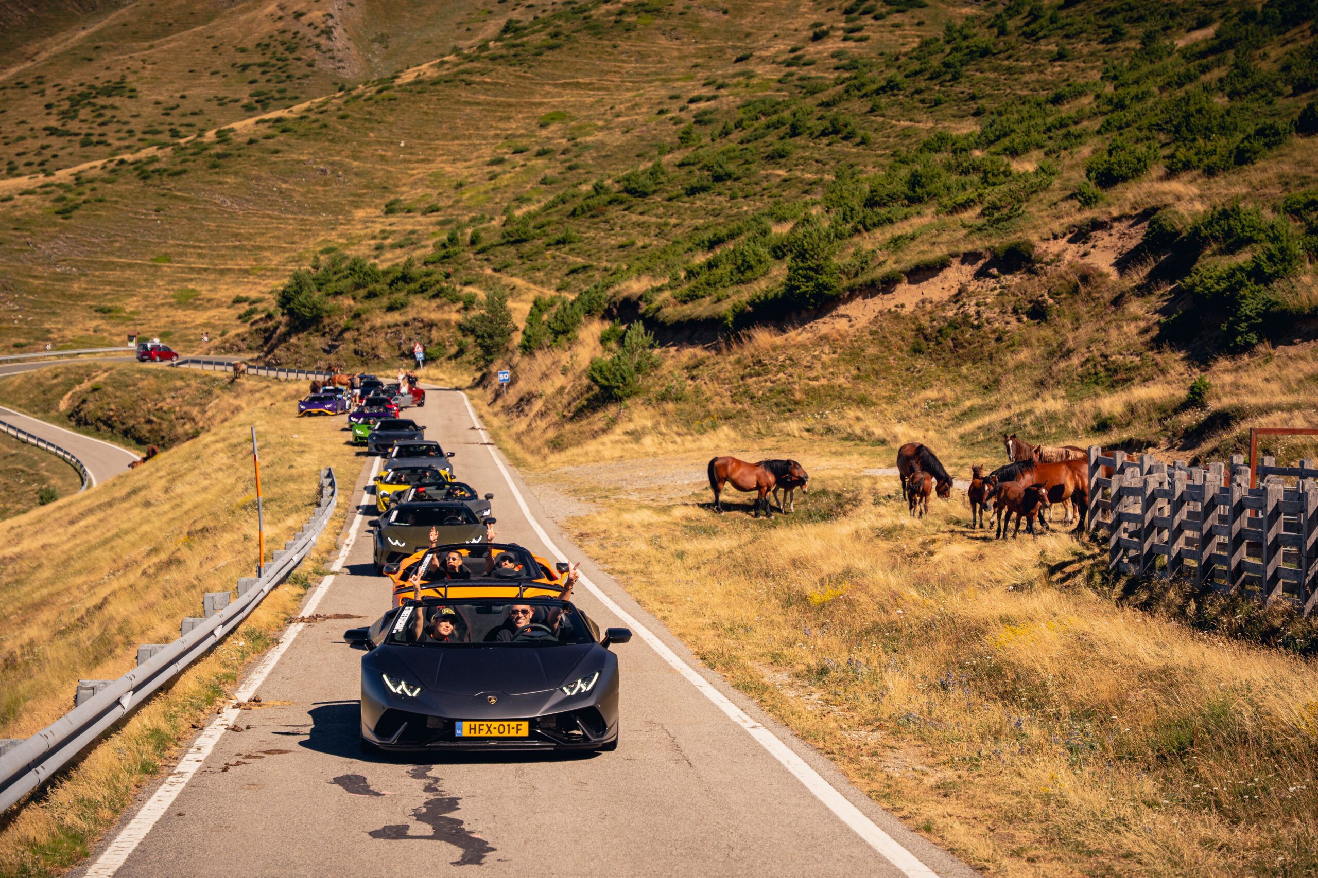 DreamDrive Pyrenees 2.0: An Unprecedented Success! banner