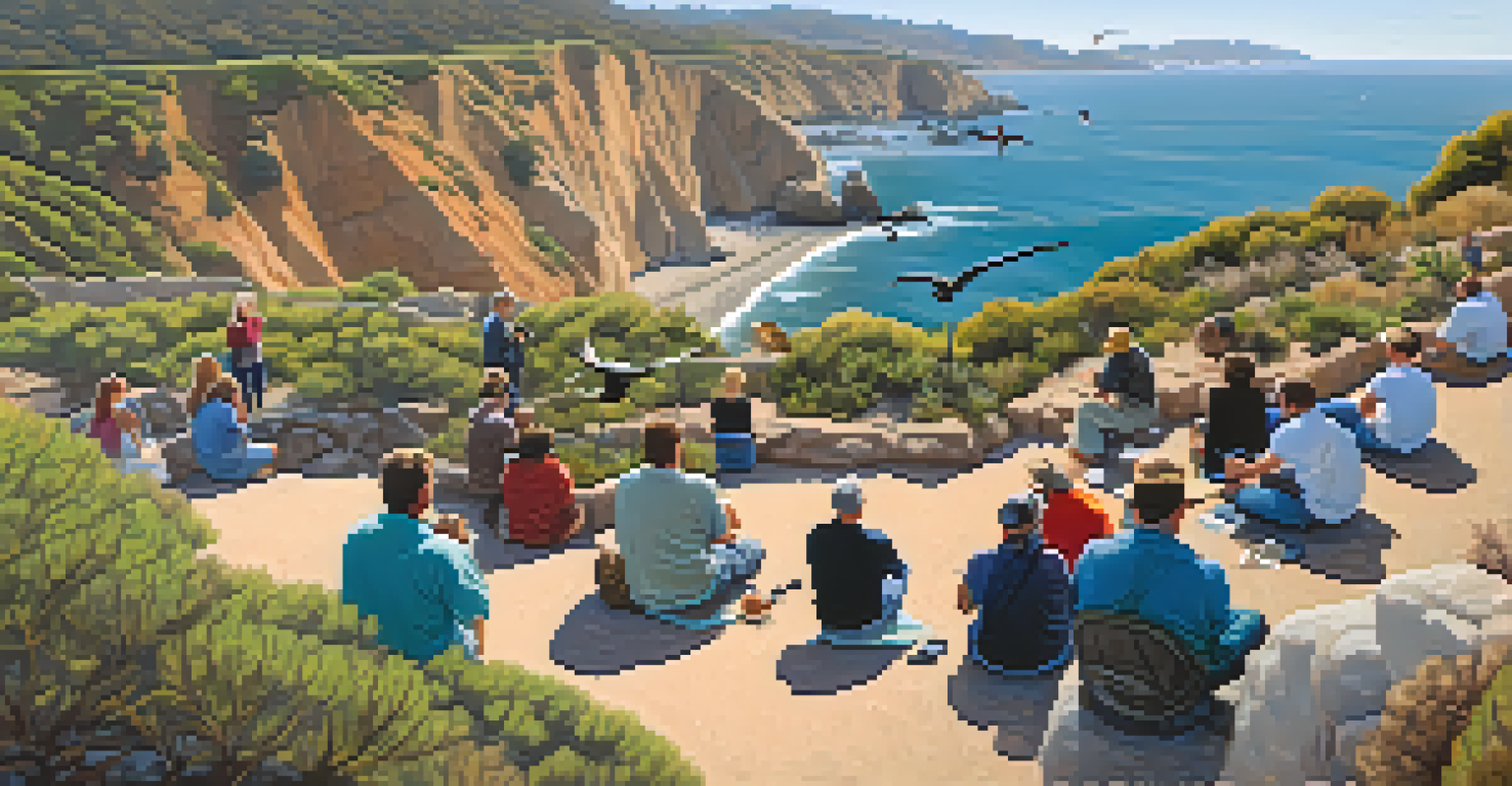 An aerial view of bird watchers along Santa Barbara's coastal cliffs, observing nesting birds while maintaining proper distance.