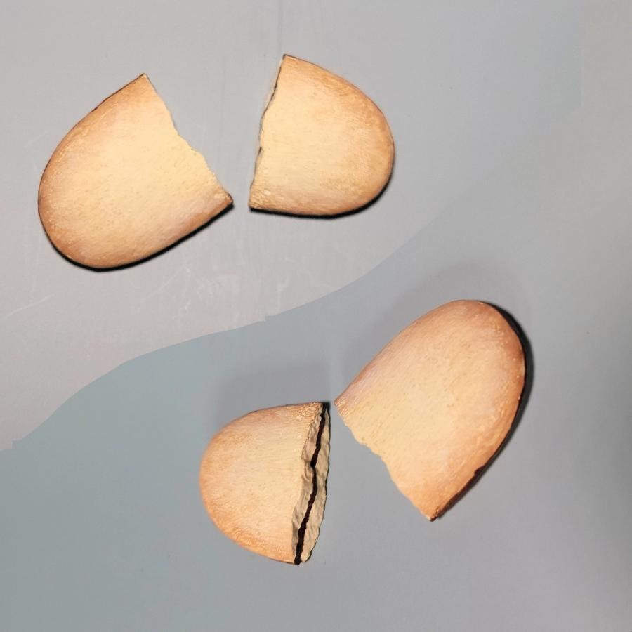 Broken Milano Cookie