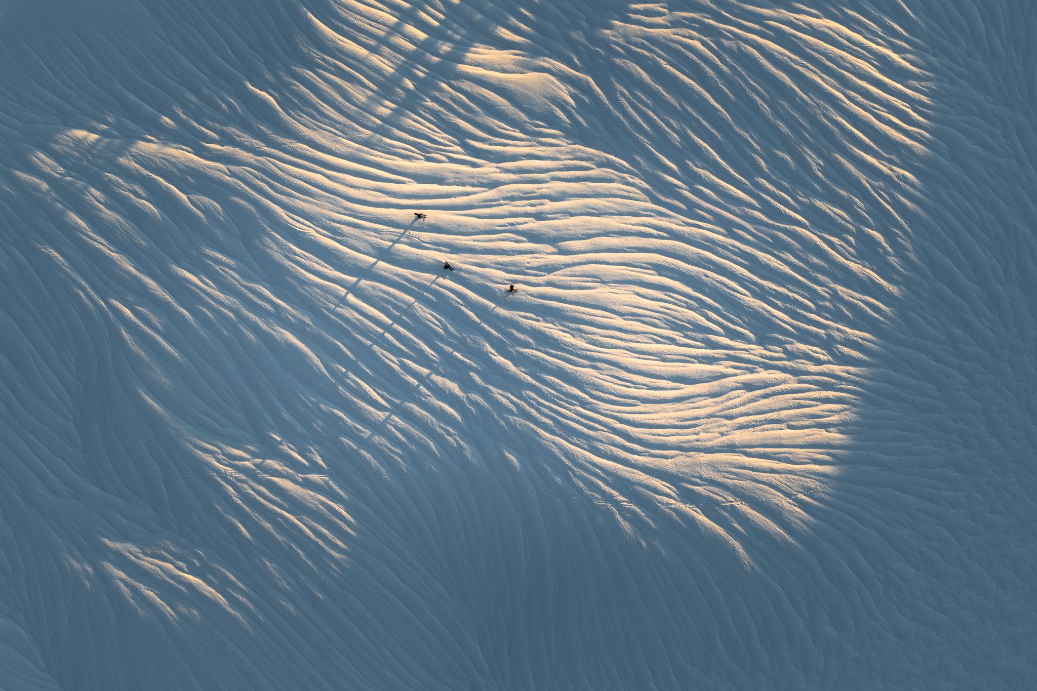 Rain Runnels Whistler Backcountry