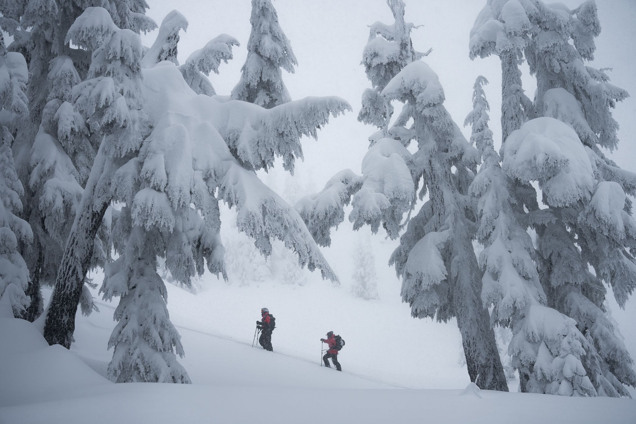 Whistler Backcountry Touring