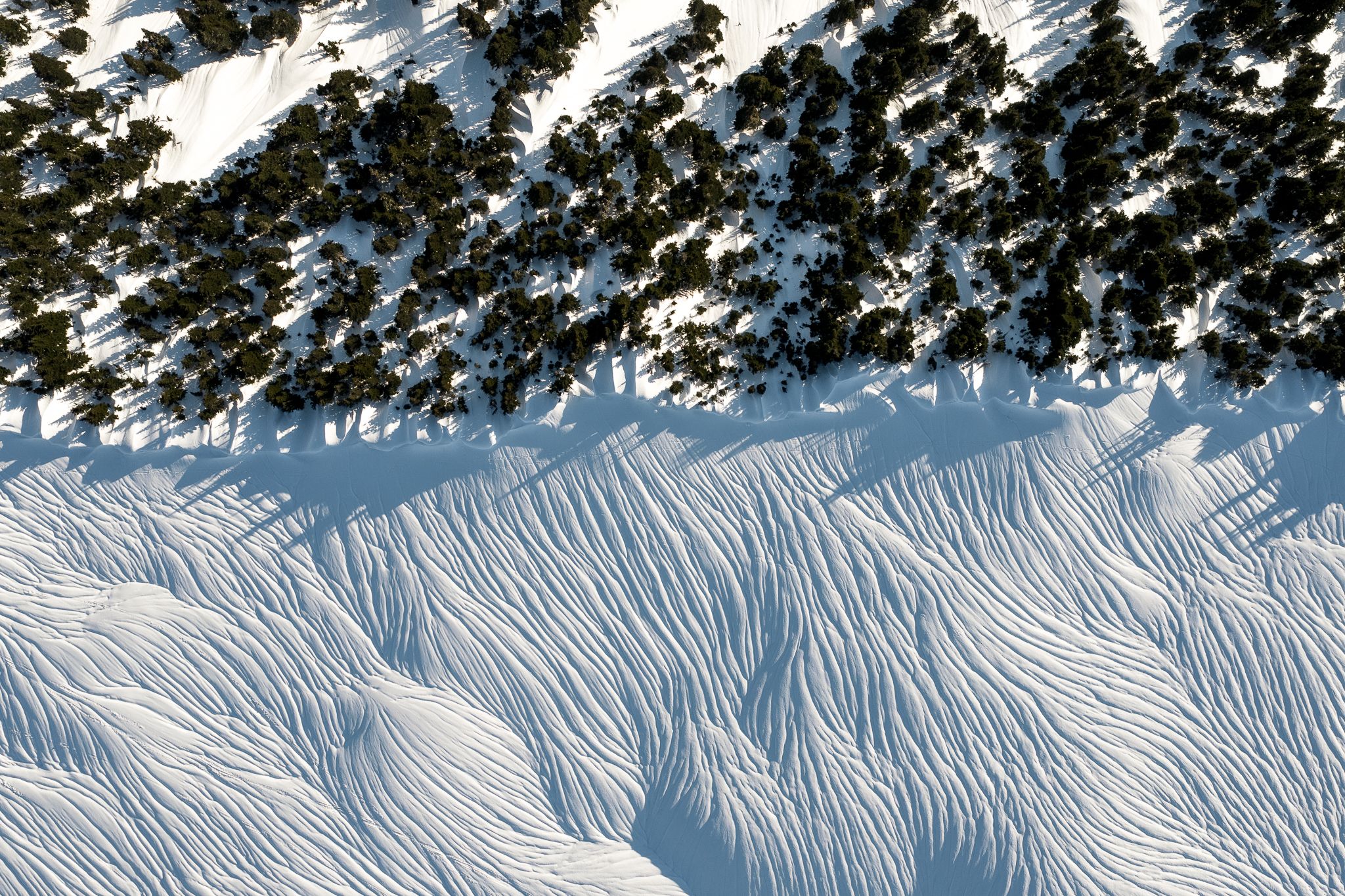 Rain Runnels Whistler Backcountry