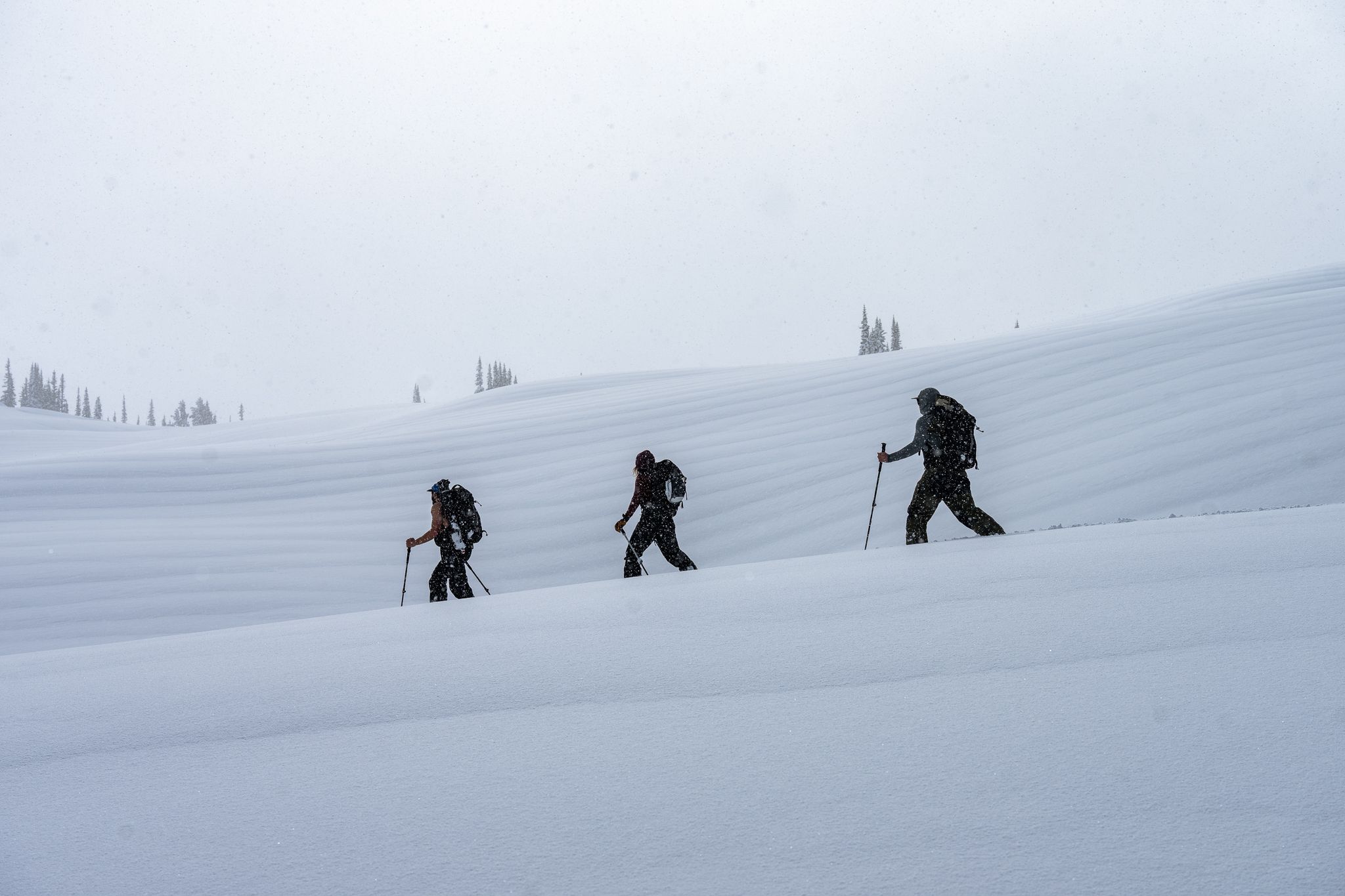 Whistler Backcountry Touring