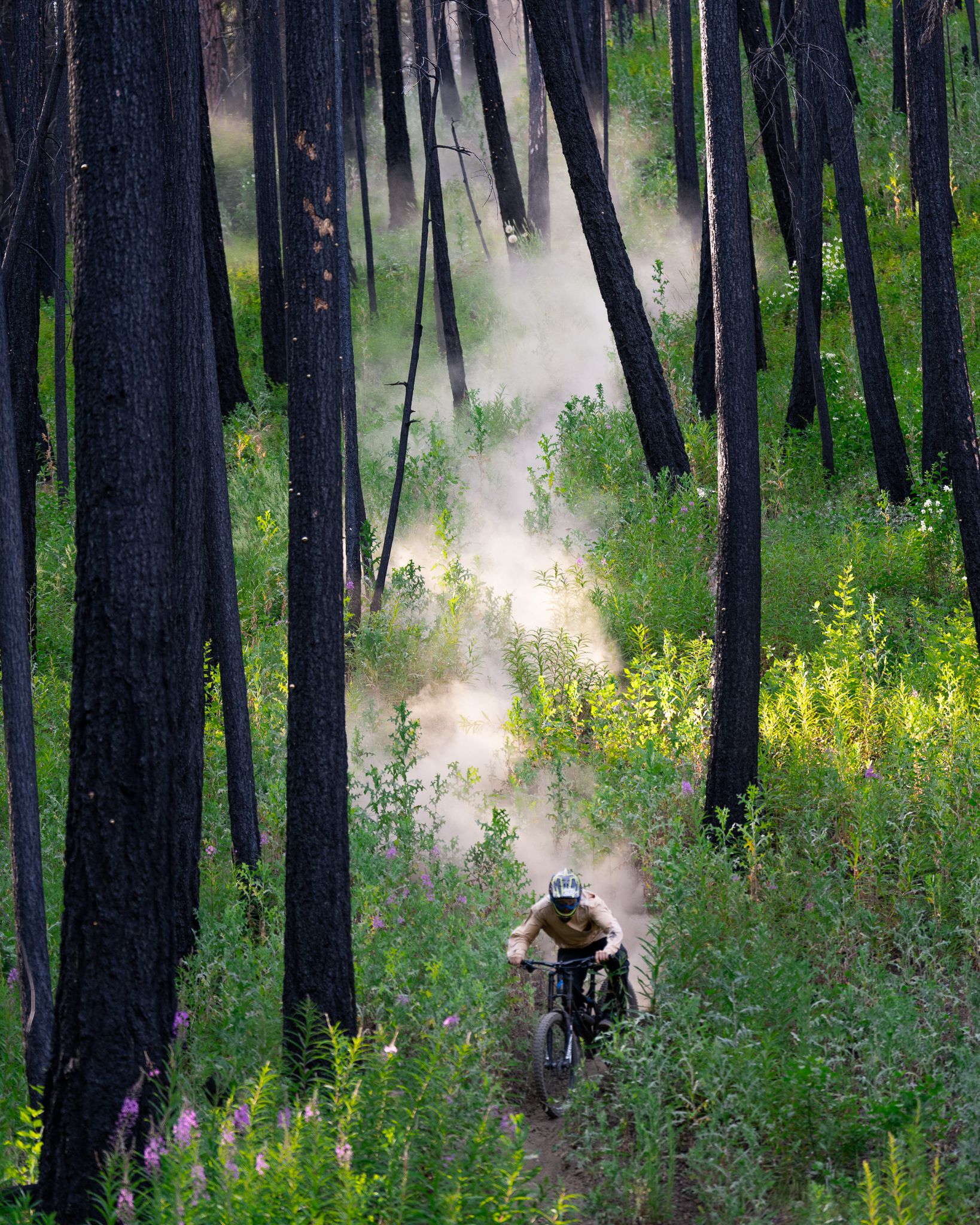 Jonathan Rollins Bike Burn