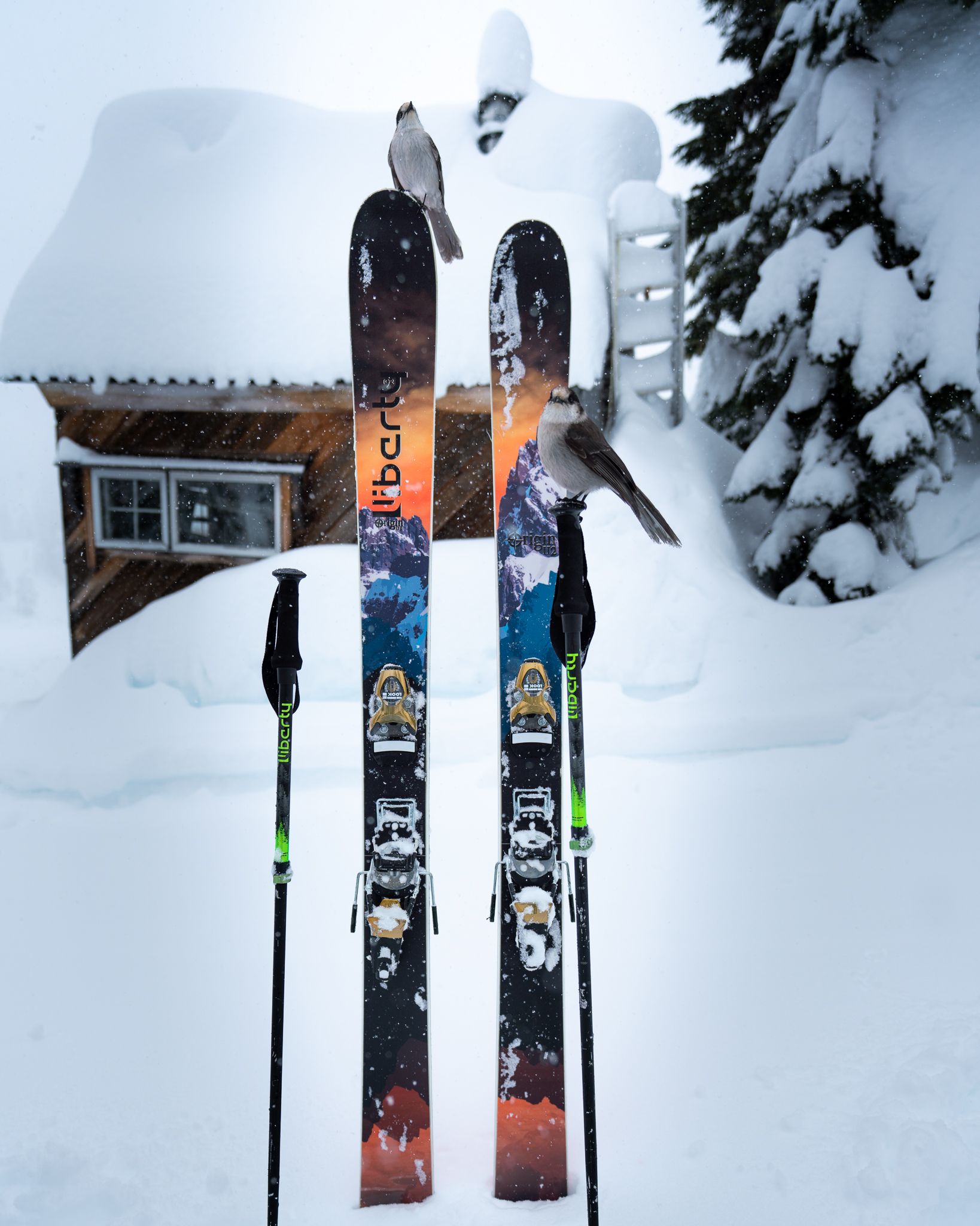 Liberty Skis