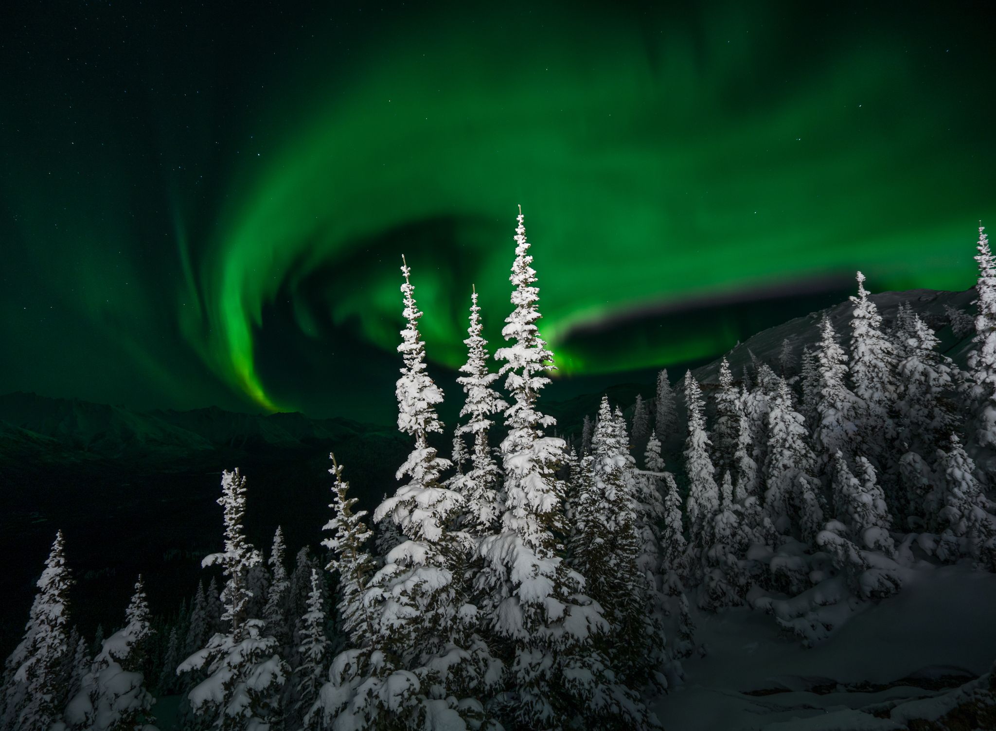 Northern lights of the Yukon