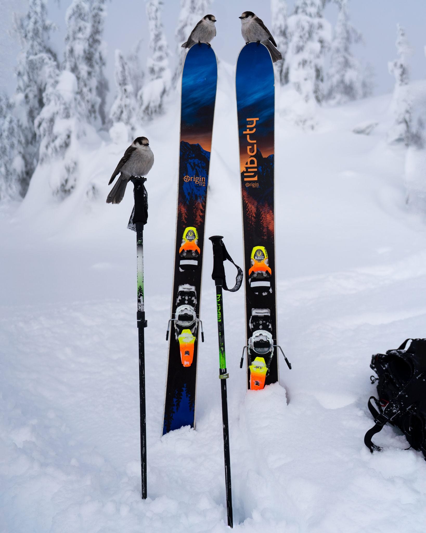 Liberty Skis