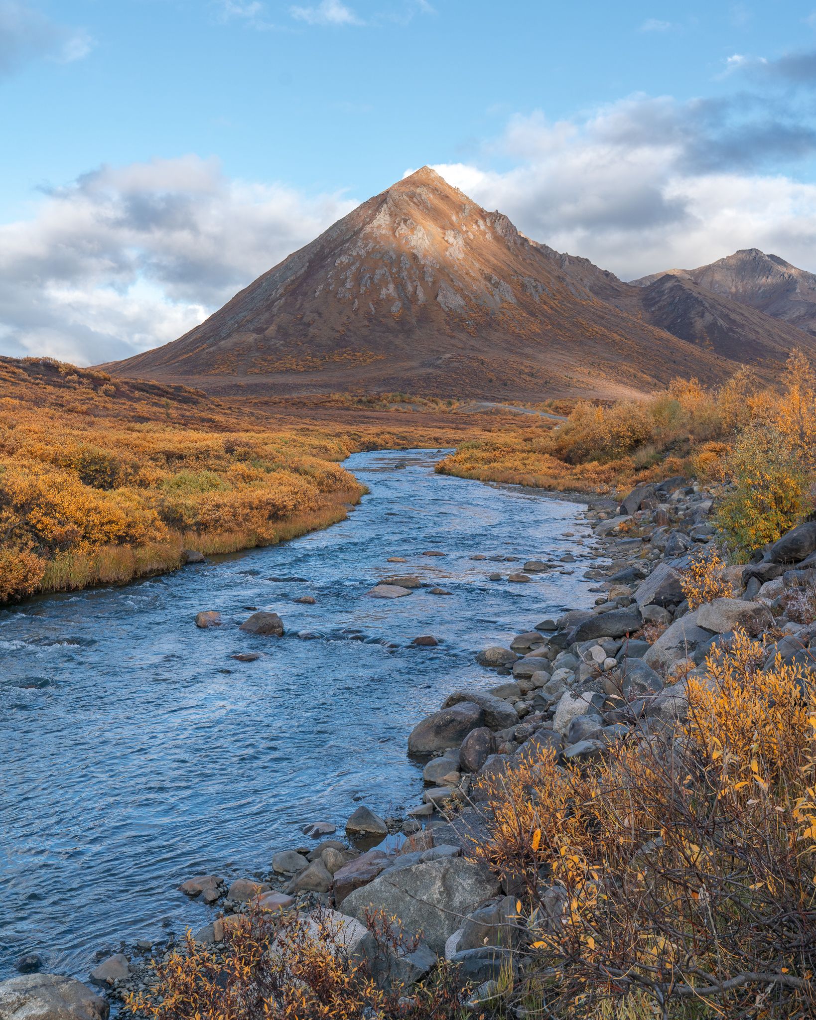 Fall colours in Tombstone Territorial Park - Yukon