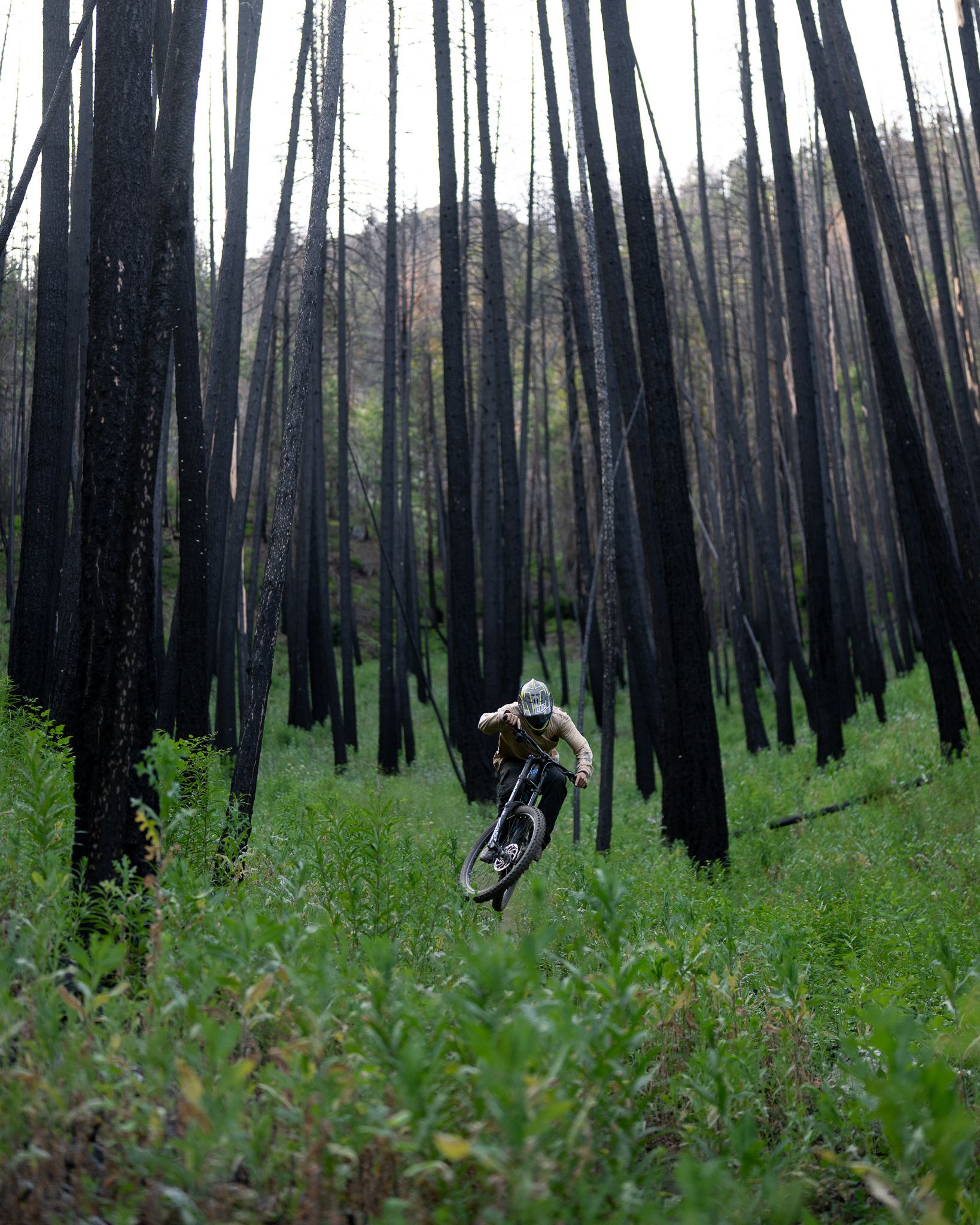 Johnathan Rollins Bike Burn