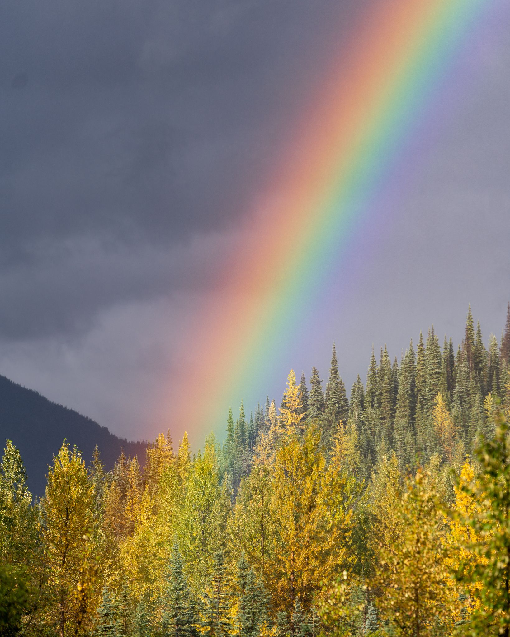 Fall colours and rainbow in Northern BC