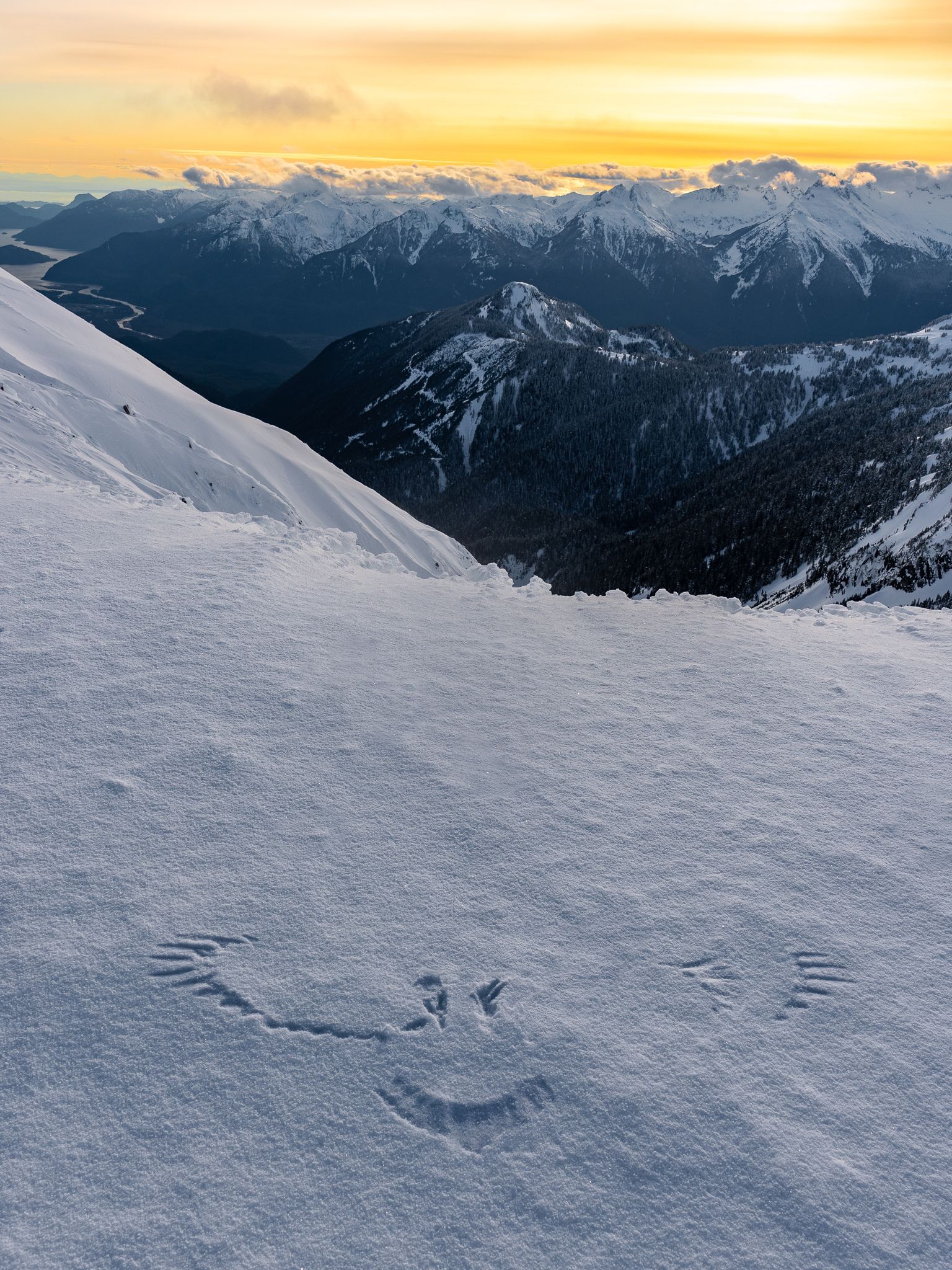 Snowy bird imprint near Squamish, BC