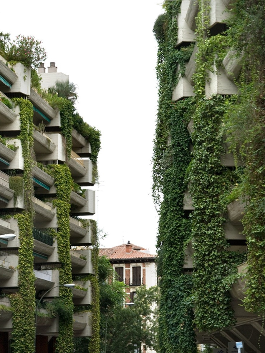 Edificios con balcones cubiertos de vegetación en una calle urbana.