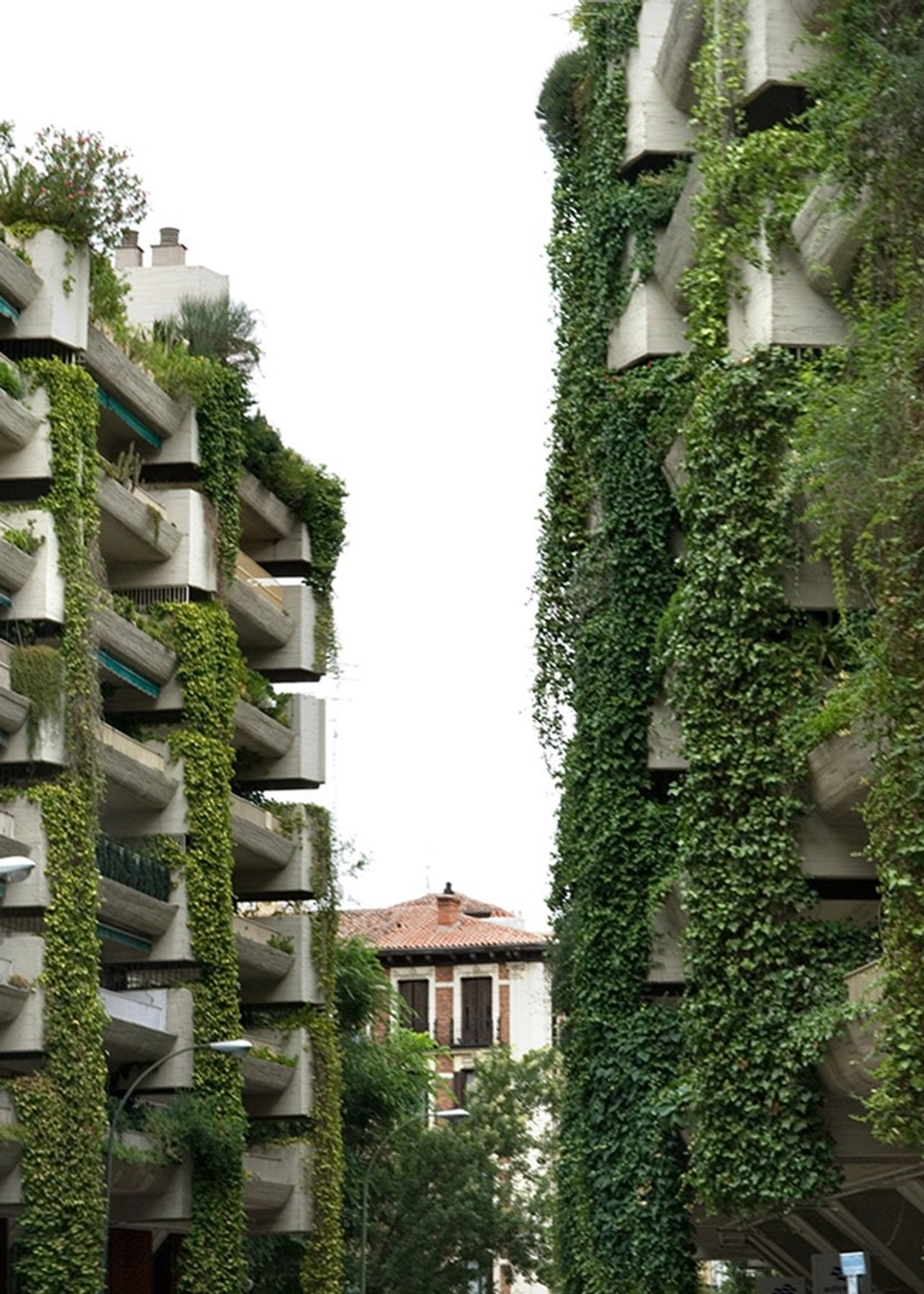Edificios con balcones cubiertos de vegetación en una calle urbana.