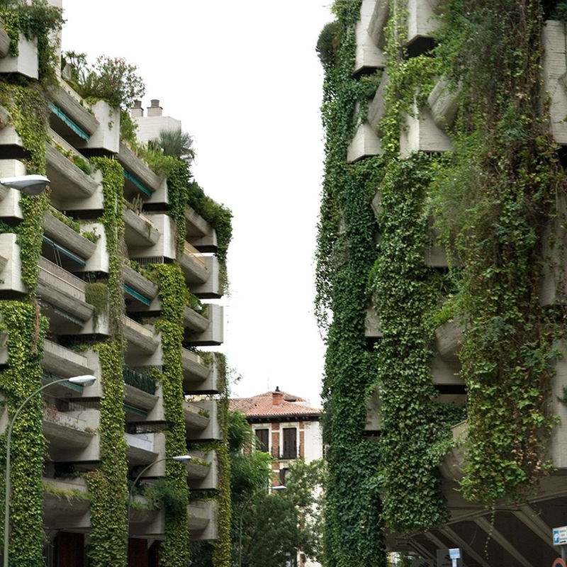 Edificios con balcones cubiertos de vegetación en una calle urbana.
