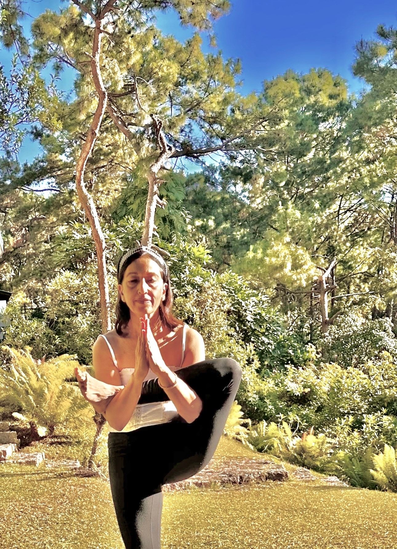 Shedding Light On the Origin of Yoga in India