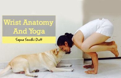 Wrist-Anatomy-And-Yoga