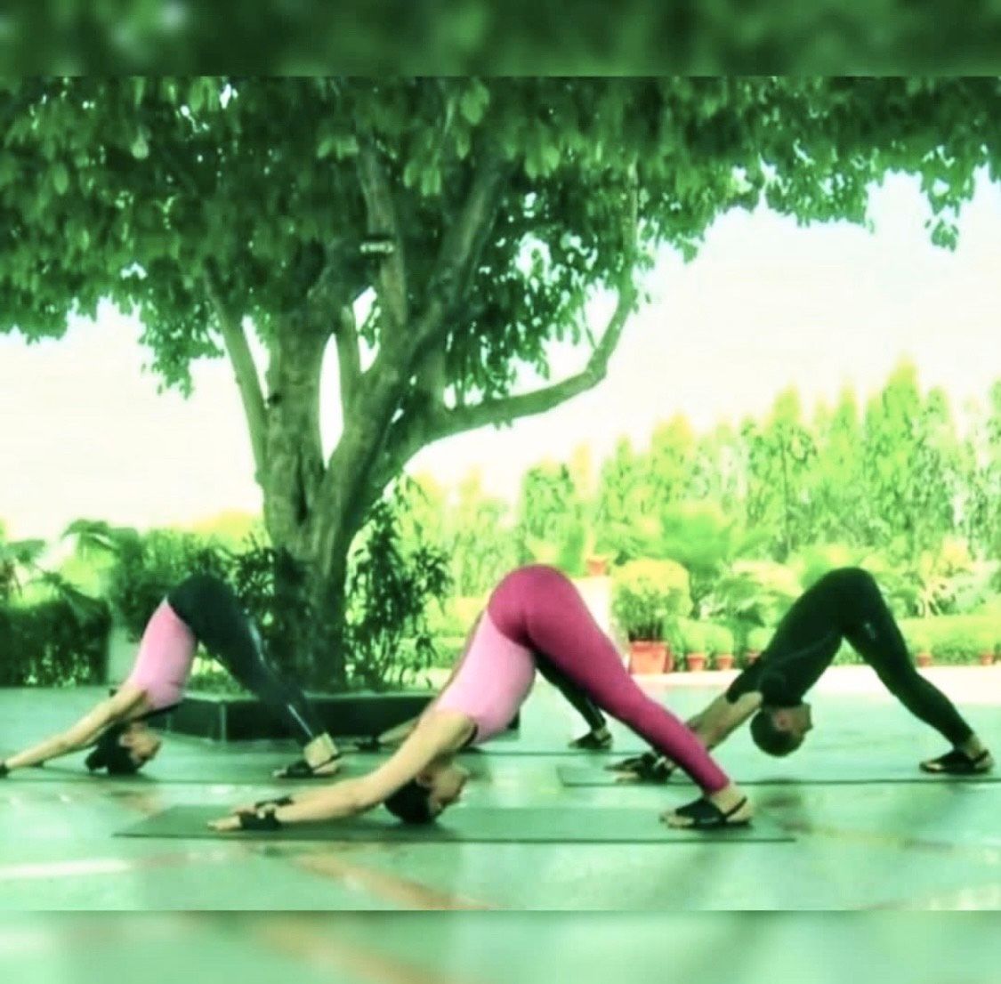 The Best Time to Practice Surya Namaskar