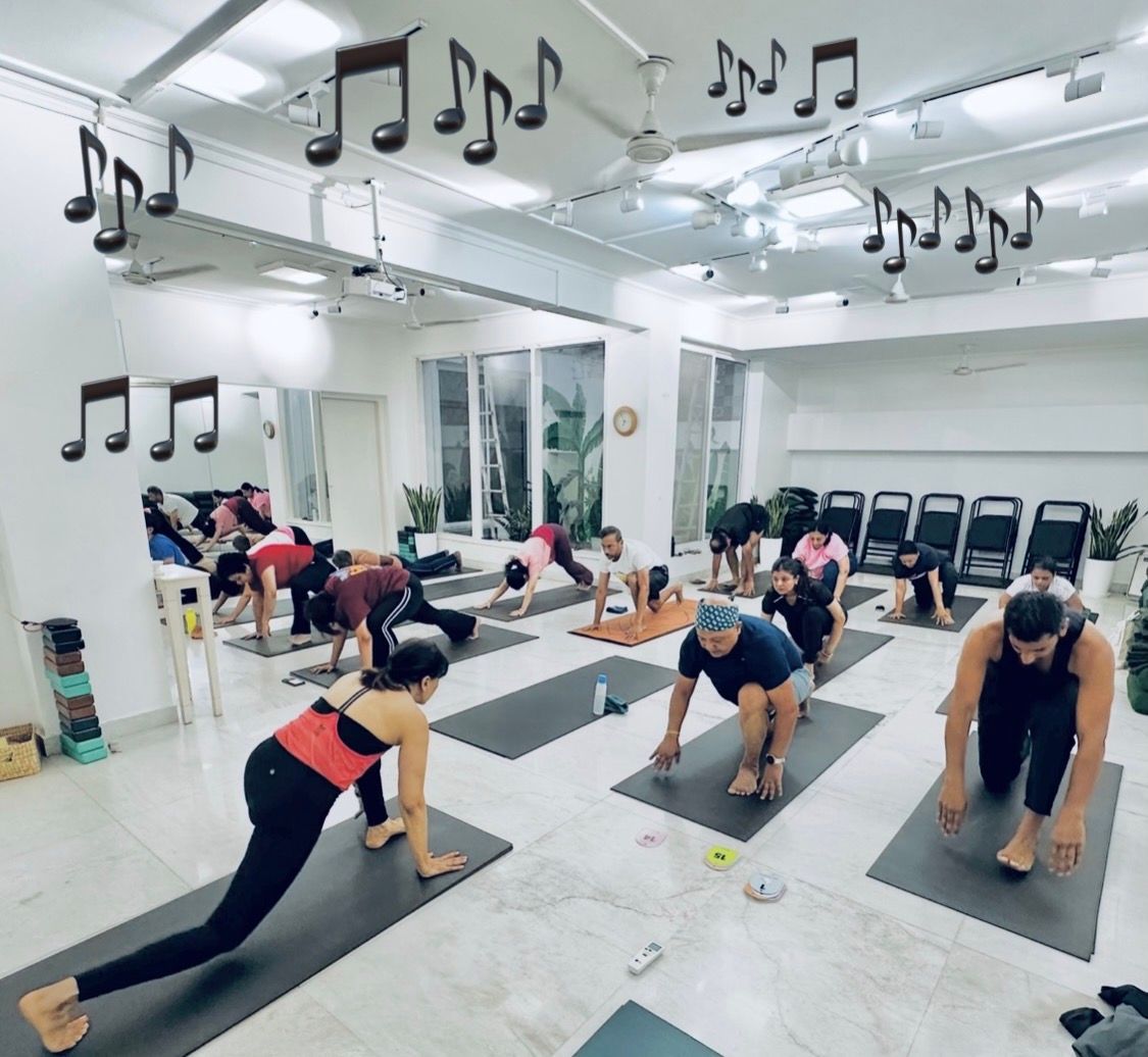 sun salutation yoga online
