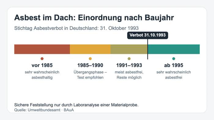 Graues Eternit-Wellplattendach vor der Demontage: Faserzementplatten mit Moosbewuchs auf einem Nebengebäude