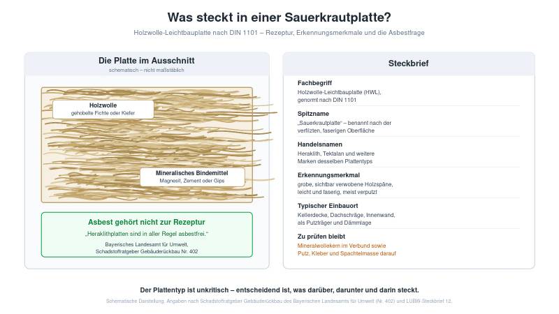 Infografik zum Aufbau einer Sauerkrautplatte: Holzwolle aus Fichte oder Kiefer, gebunden mit Magnesit, Zement oder Gips – Asbest gehört nicht zur Rezeptur