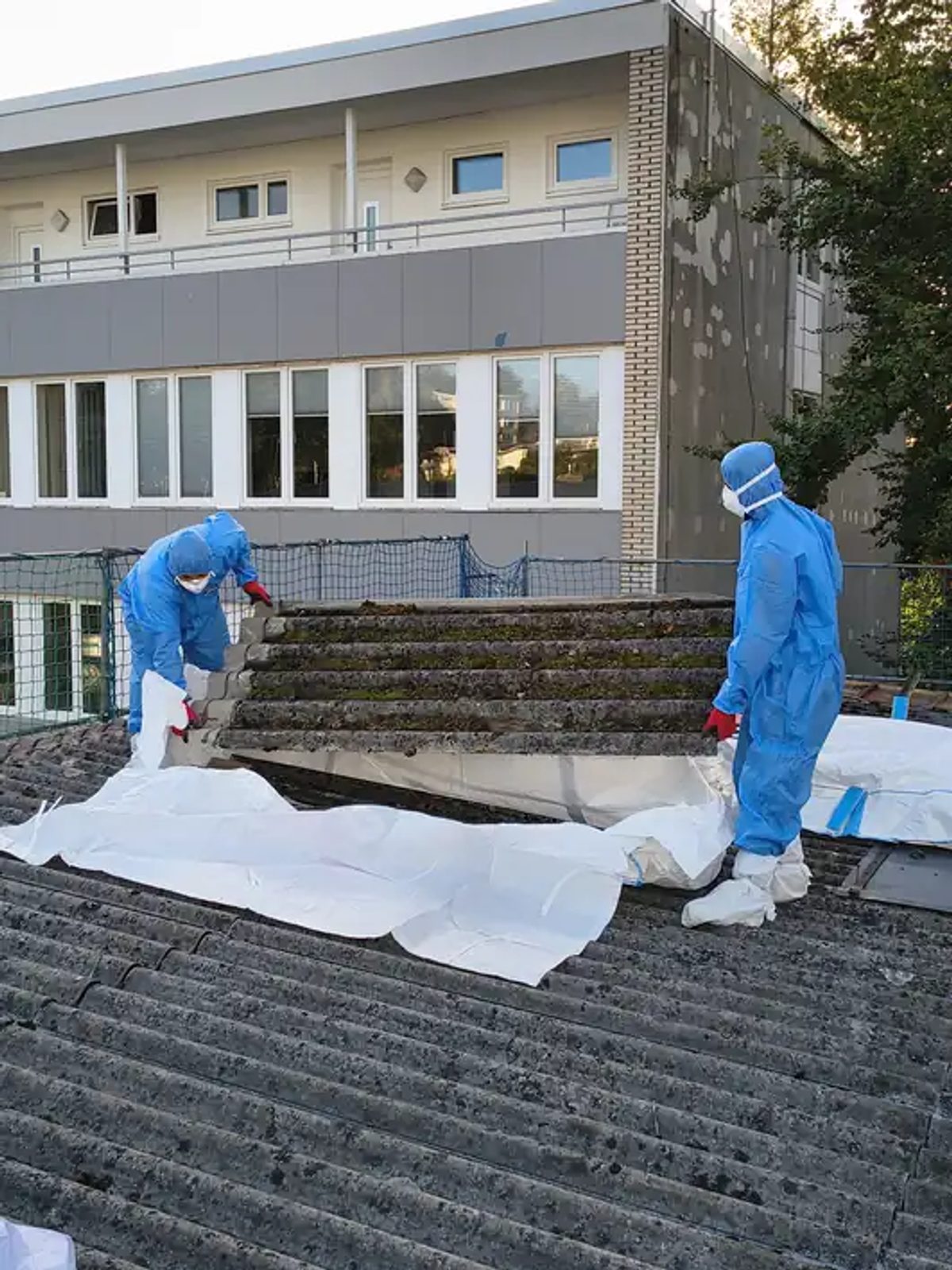 Zwei Mitarbeiter legen verwitterte Asbest-Wellplatten auf die ausgebreitete Big-Bag-Folie auf dem Hallendach in Kassel.