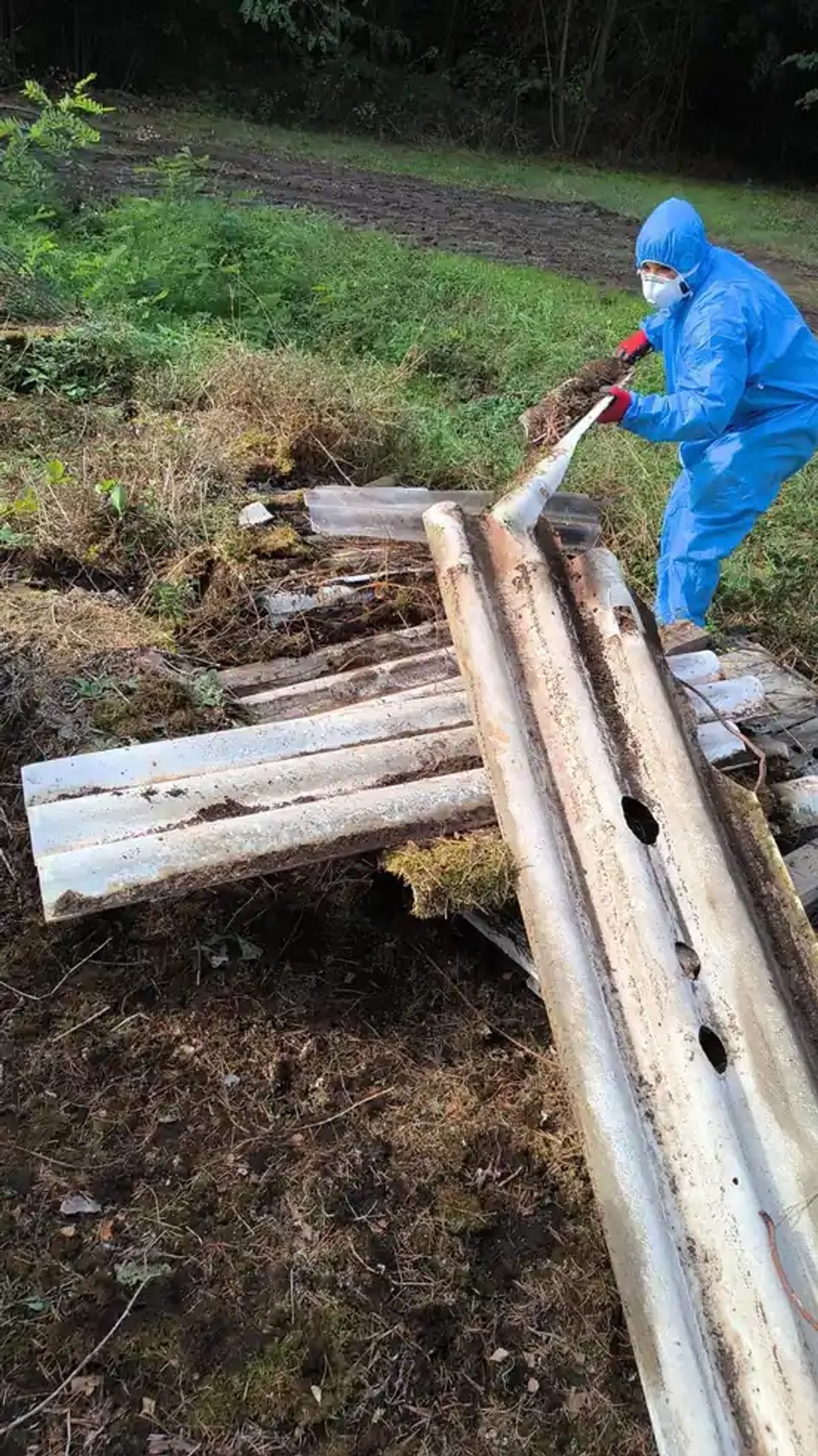 Verwitterte Eternitplatten am Waldrand des Tanklagers werden aus dem Bewuchs aufgenommen und vor Ort staubdicht verpackt