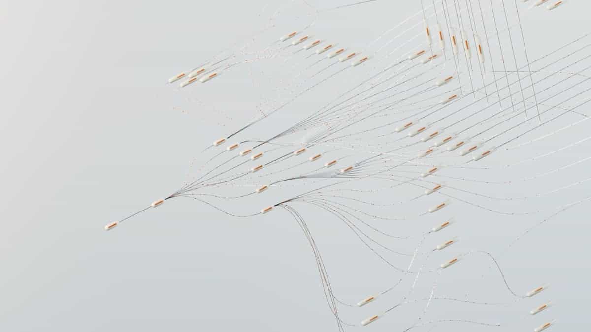 neural network connection