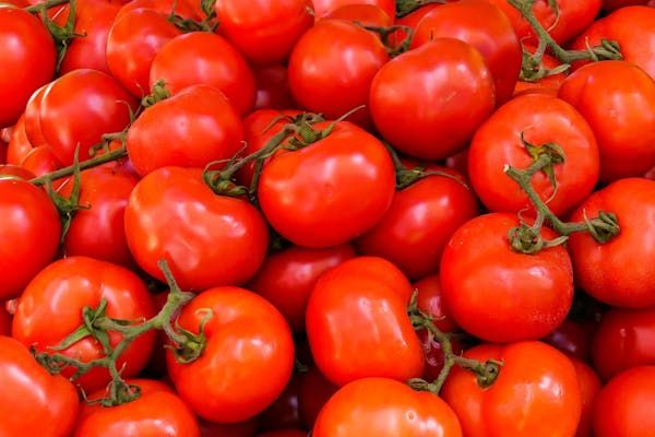 The Incredible Health Benefits of Eating Tomatoes Every Day
