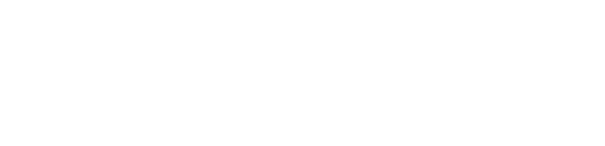 Neonami logo