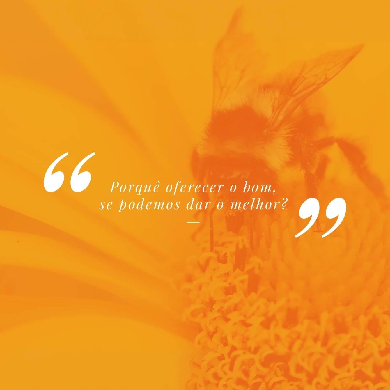 Orange GutesHaus social graphic with a Portuguese quotation over a flower.