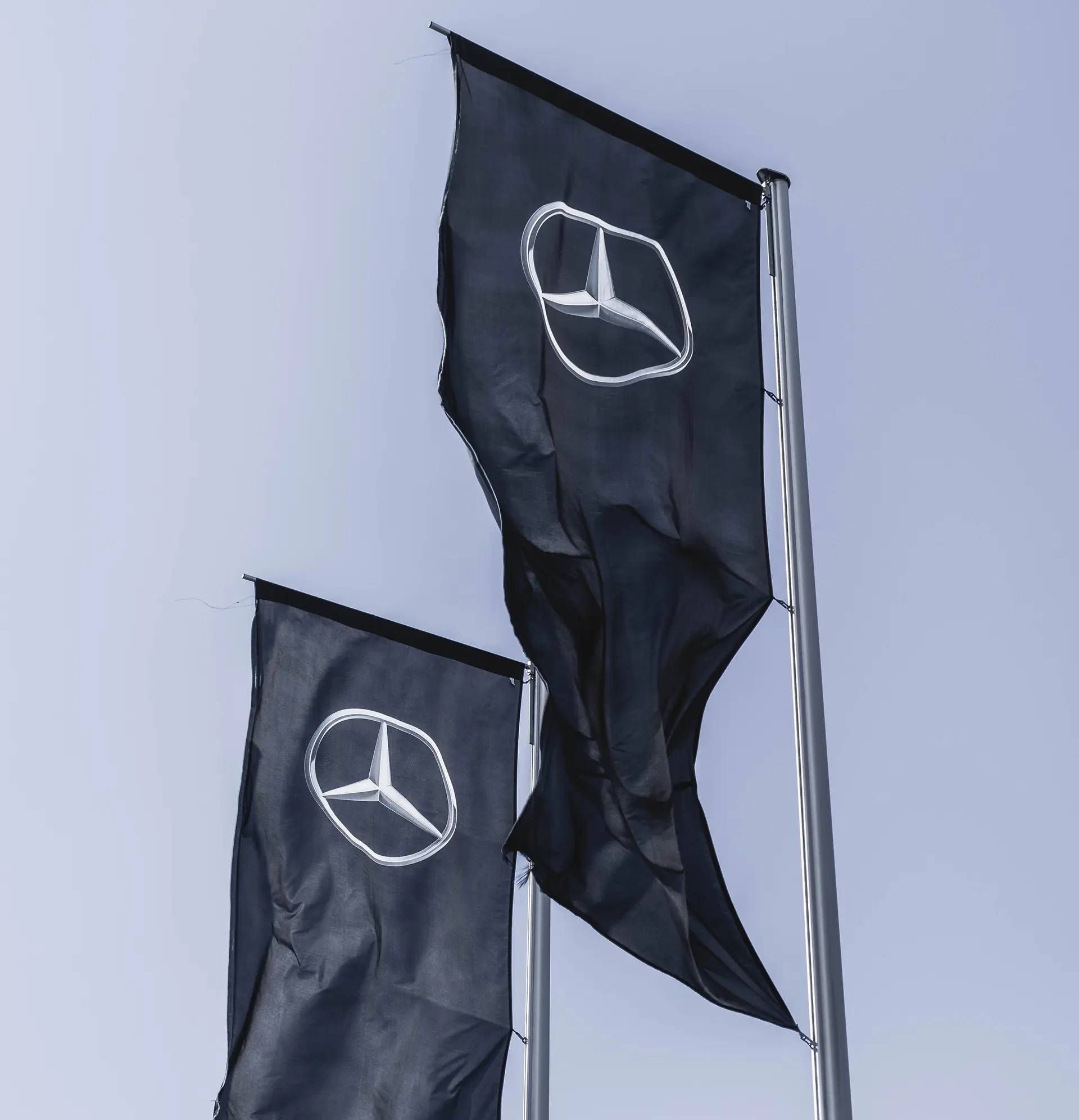 Cover image for The One Principle for Successful Branding