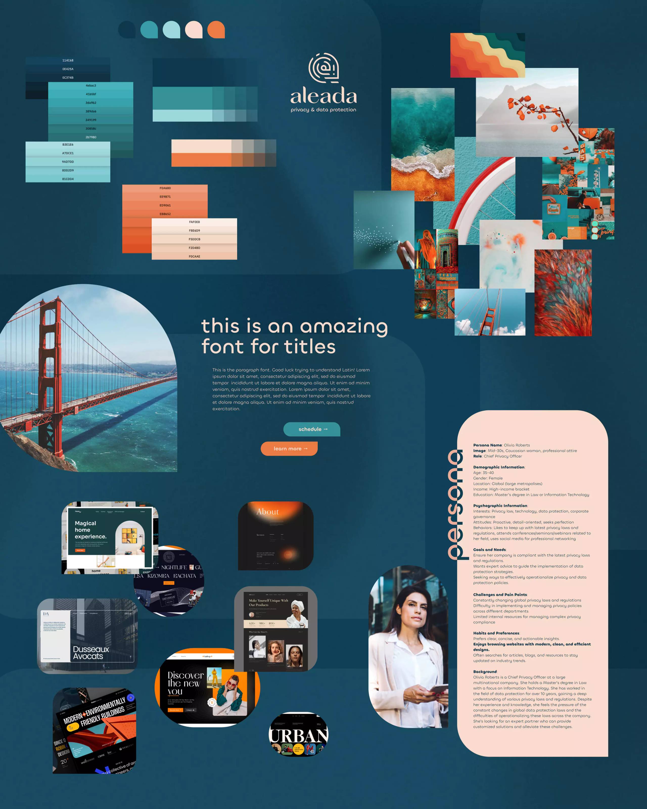 Aleada Consulting mood board with vivid teal, orange, cream, rounded forms, human photography, and an audience profile.