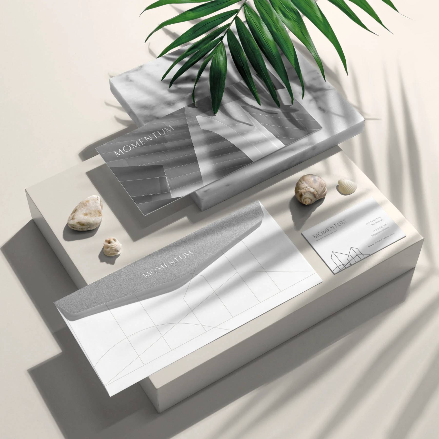 Momentum Photography stationery and business cards arranged with shells and palm shadows.