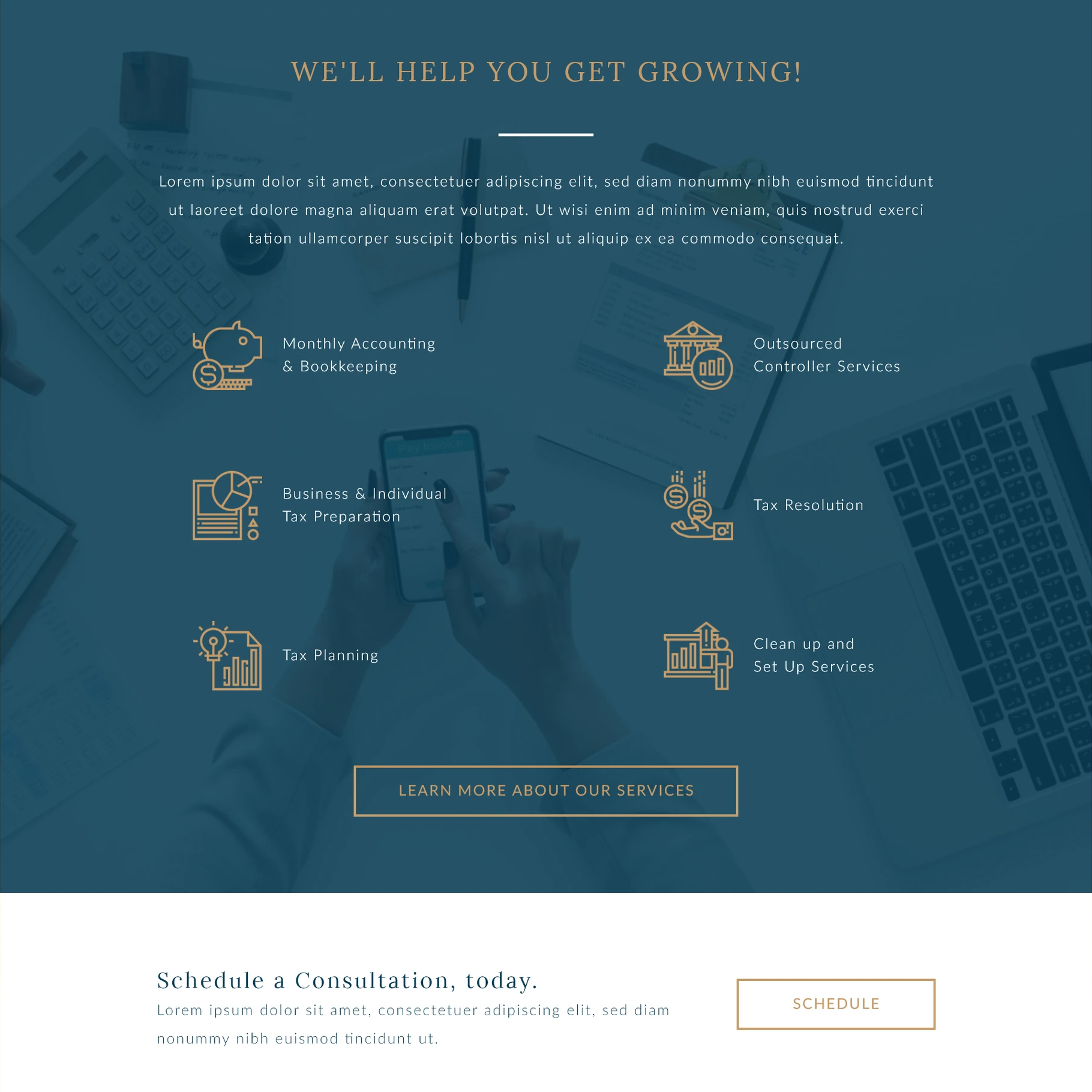 The Accounting Well website services and consultation sections in navy, tan, and white.