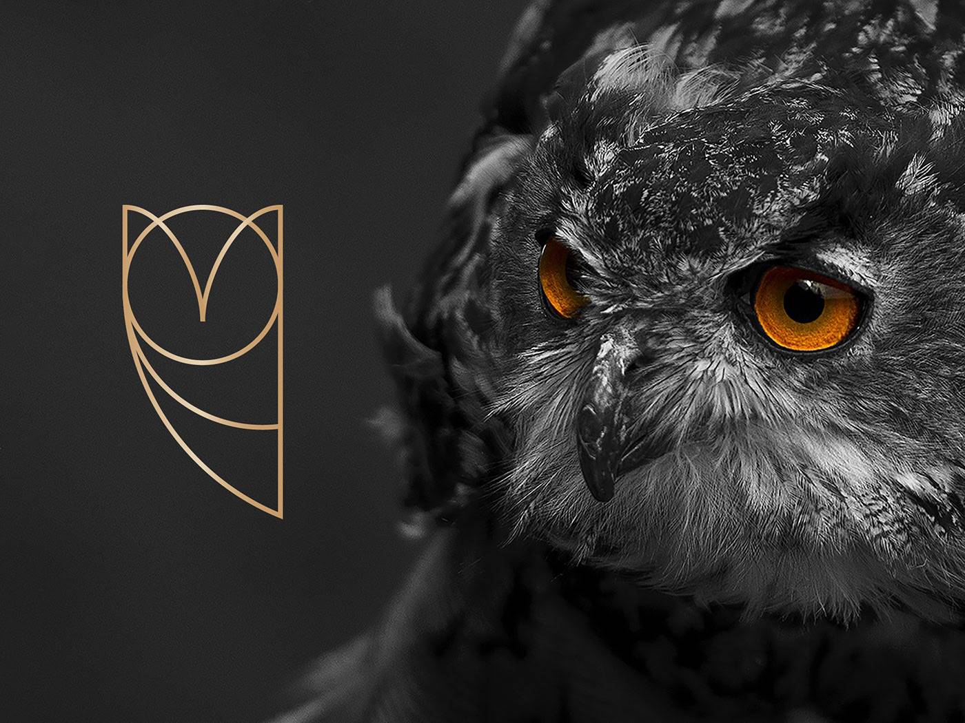 Image from 7 Reasons Why A Logo Is Important For Your Business