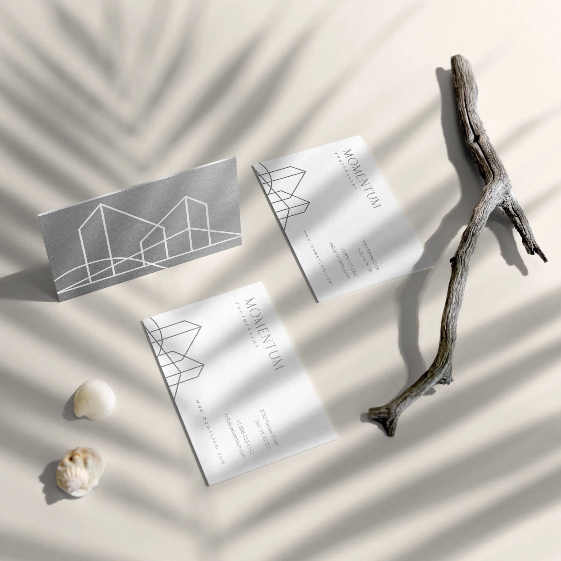 Momentum Photography translucent and white business cards arranged with shells and a branch.