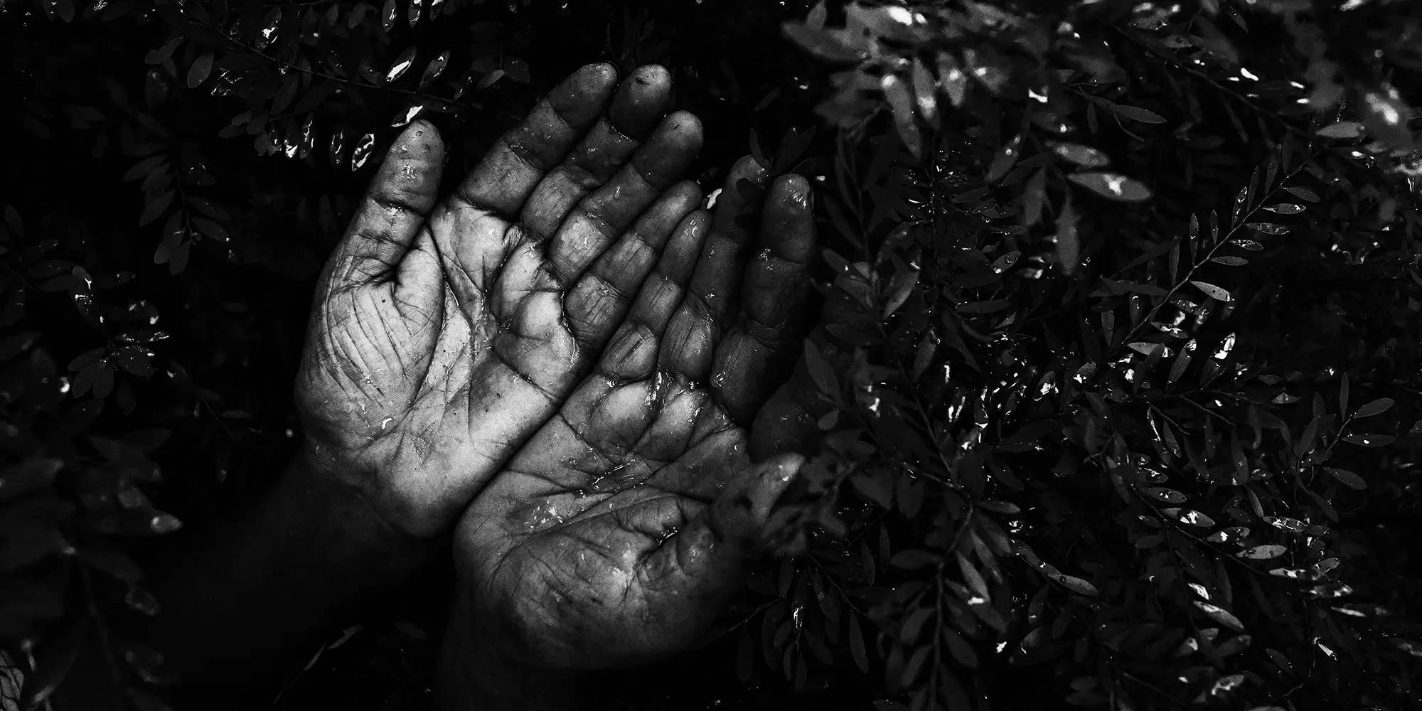 Cover image for Your Hands Are Too Damn Clean