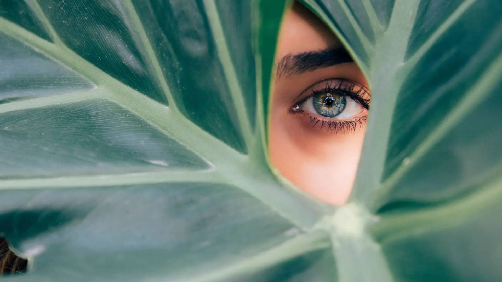 Cover image for How to Build a Personal Brand: A Step-by-Step Strategy
