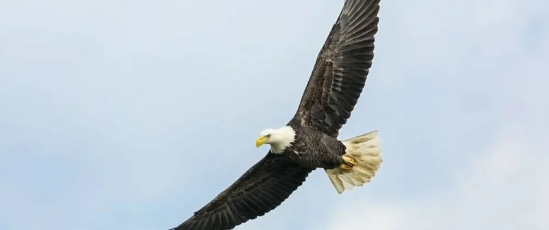 42ea70ca1e9985b16bed